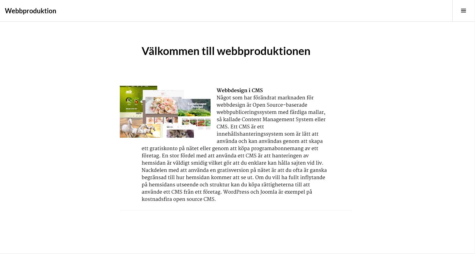 webbproduktion