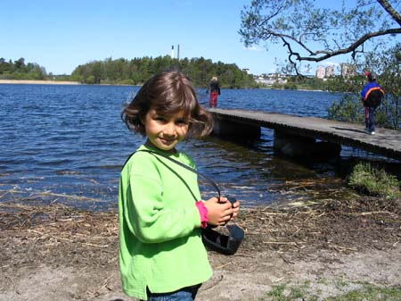 koviken 012