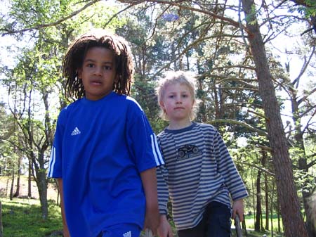 koviken 025