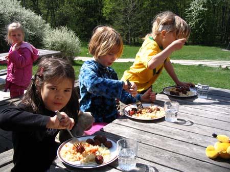 koviken 031