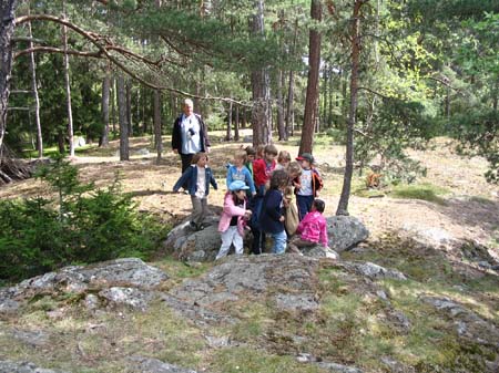 koviken 060