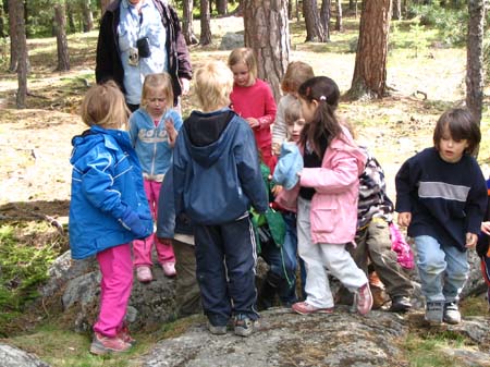 koviken 061
