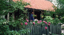 lasse helgö